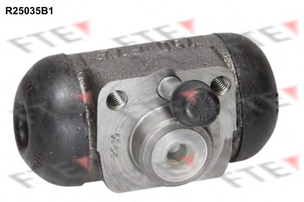 FTE R25035B1 Wheel Brake Cylinder